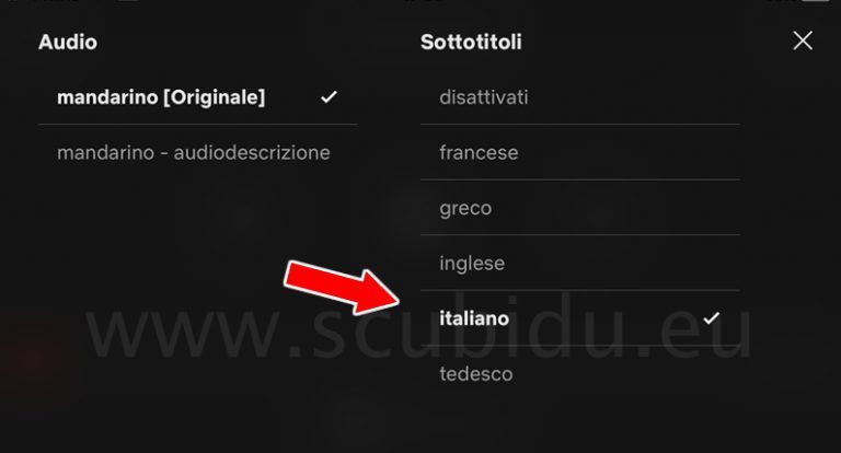 Come Togliere I Sottotitoli Su Prime Video
