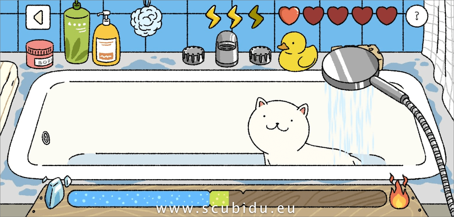 come fare bagno gatto adorable home