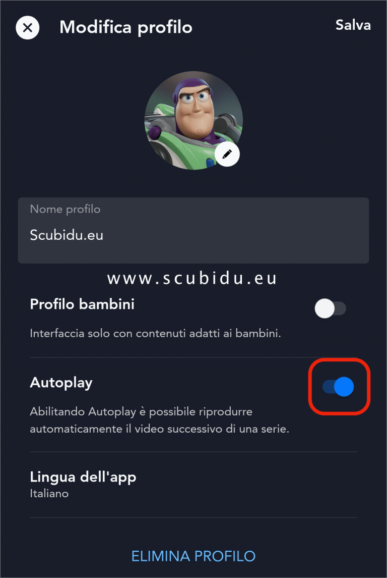 Quanti Profili Si Possono Fare Su Disney Plus