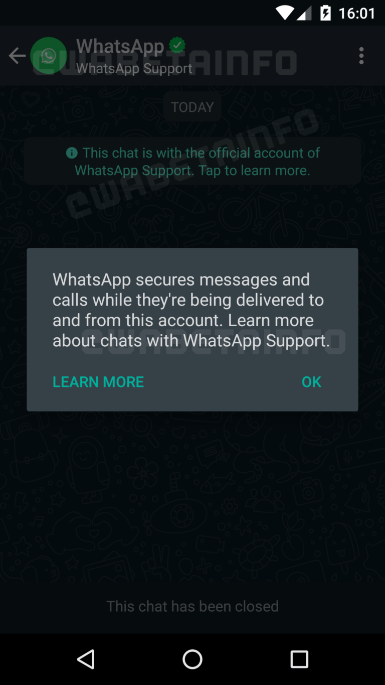 whatsapp supporto in chat