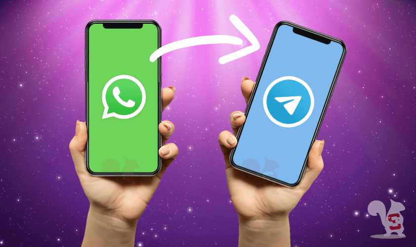 spostare chat da whatsapp a telegram