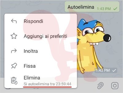 telegram android messaggio in autoeliminazione