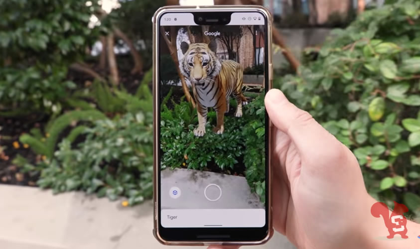 google animali 3d ar realtà aumentata tigre tigri