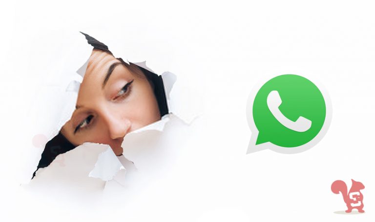 Come vedere la foto profilo WhatsApp di chi ti ha bloccato - Scubidu Blog