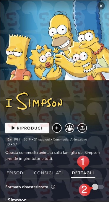 disney simpson formato originale 4:3