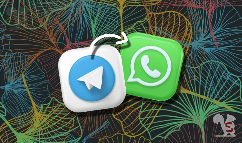 Come spostare gruppo da Telegram a WhatsApp