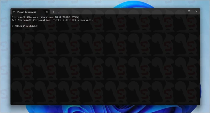 gestione disco prompt windows
