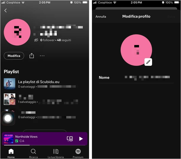 cambiare nome spotify app
