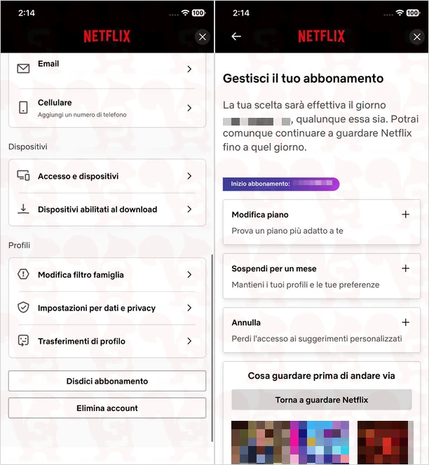 disdire netflix app