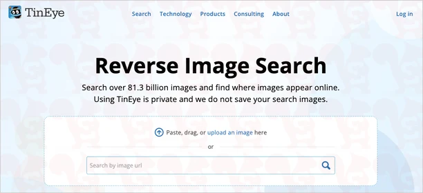 motore ricerca tineye