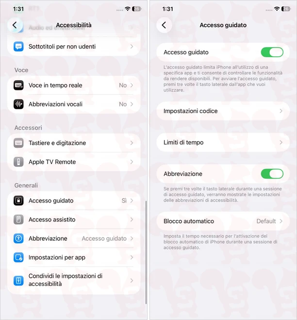 accesso guidato ios